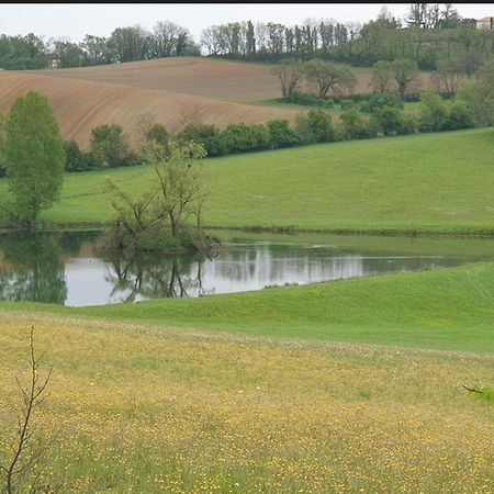 Seuls En Pleine Nature - Gite La Cote Blanche Puygaillard-de-Quercy Zewnętrze zdjęcie