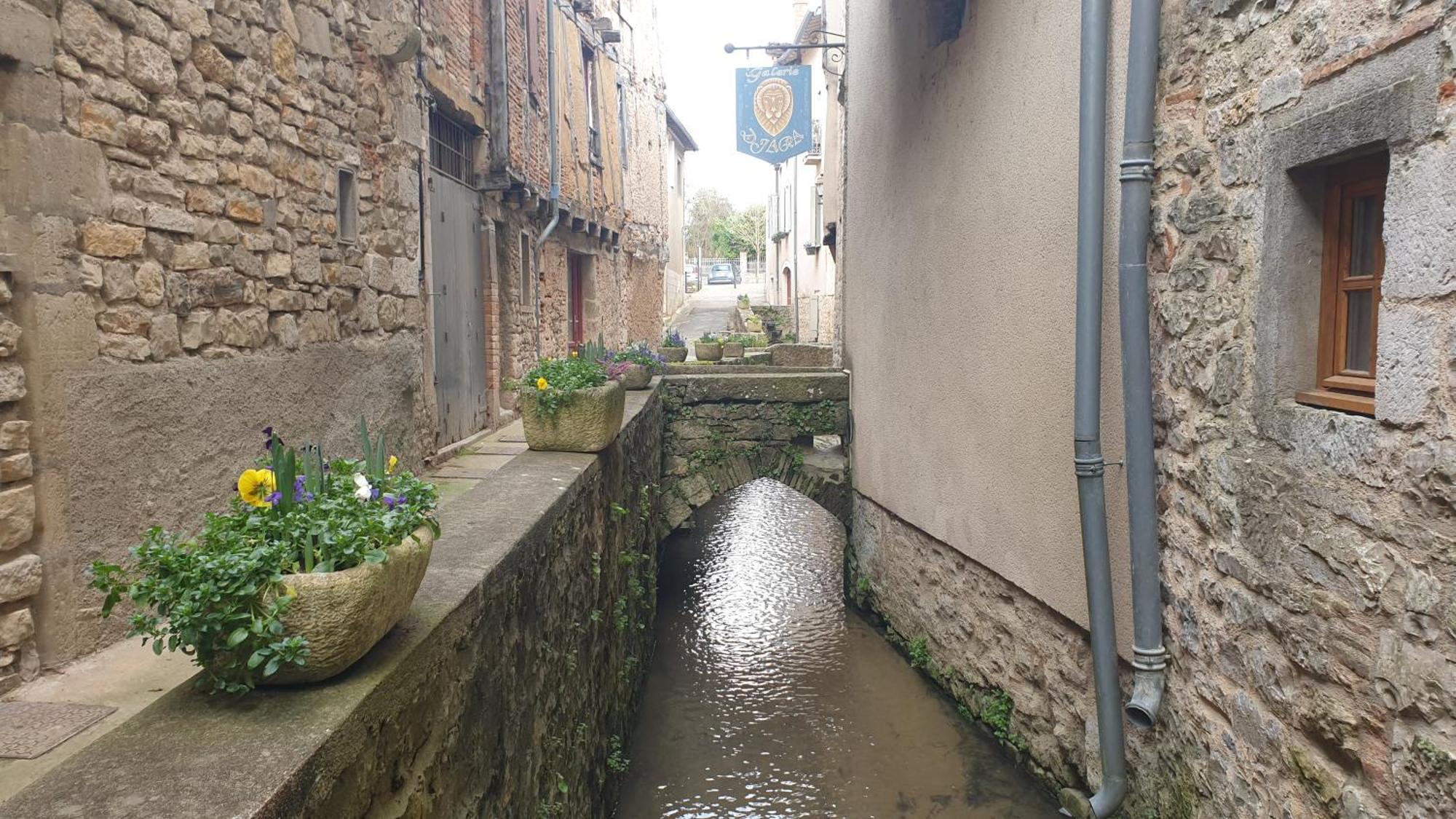 Seuls En Pleine Nature - Gite La Cote Blanche Puygaillard-de-Quercy Zewnętrze zdjęcie
