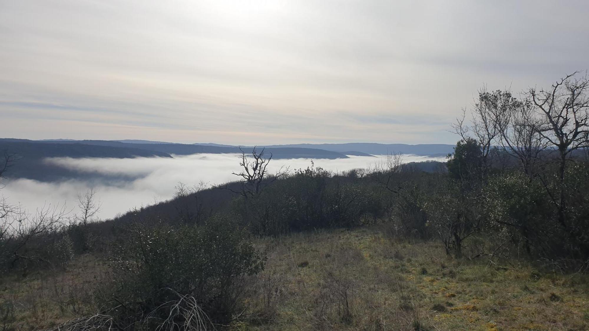 Seuls En Pleine Nature - Gite La Cote Blanche Puygaillard-de-Quercy Zewnętrze zdjęcie