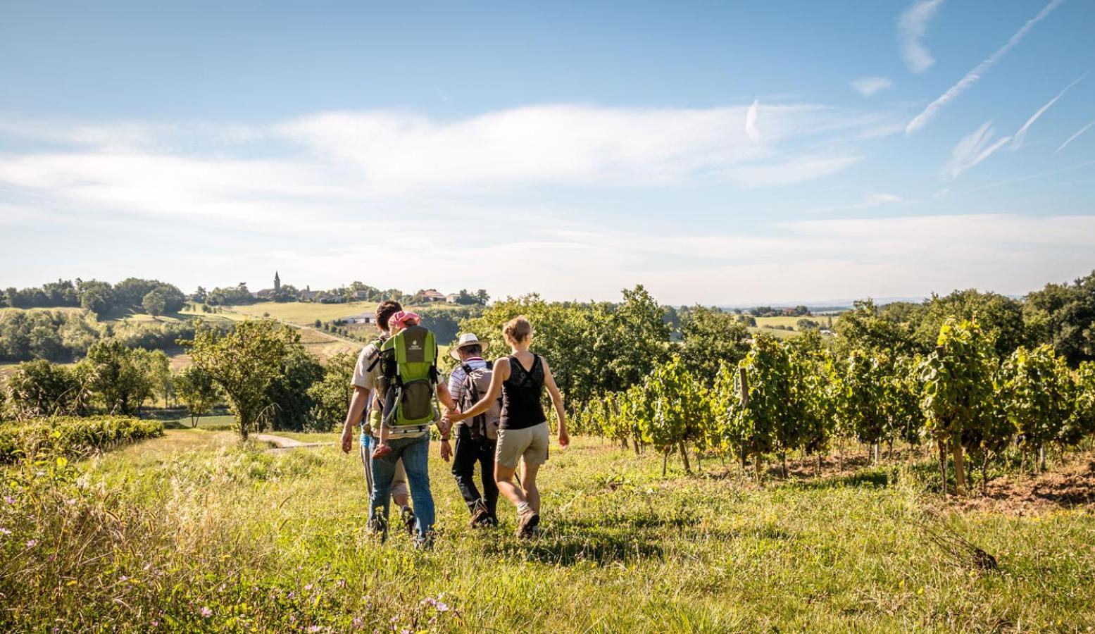 Seuls En Pleine Nature - Gite La Cote Blanche Puygaillard-de-Quercy Zewnętrze zdjęcie