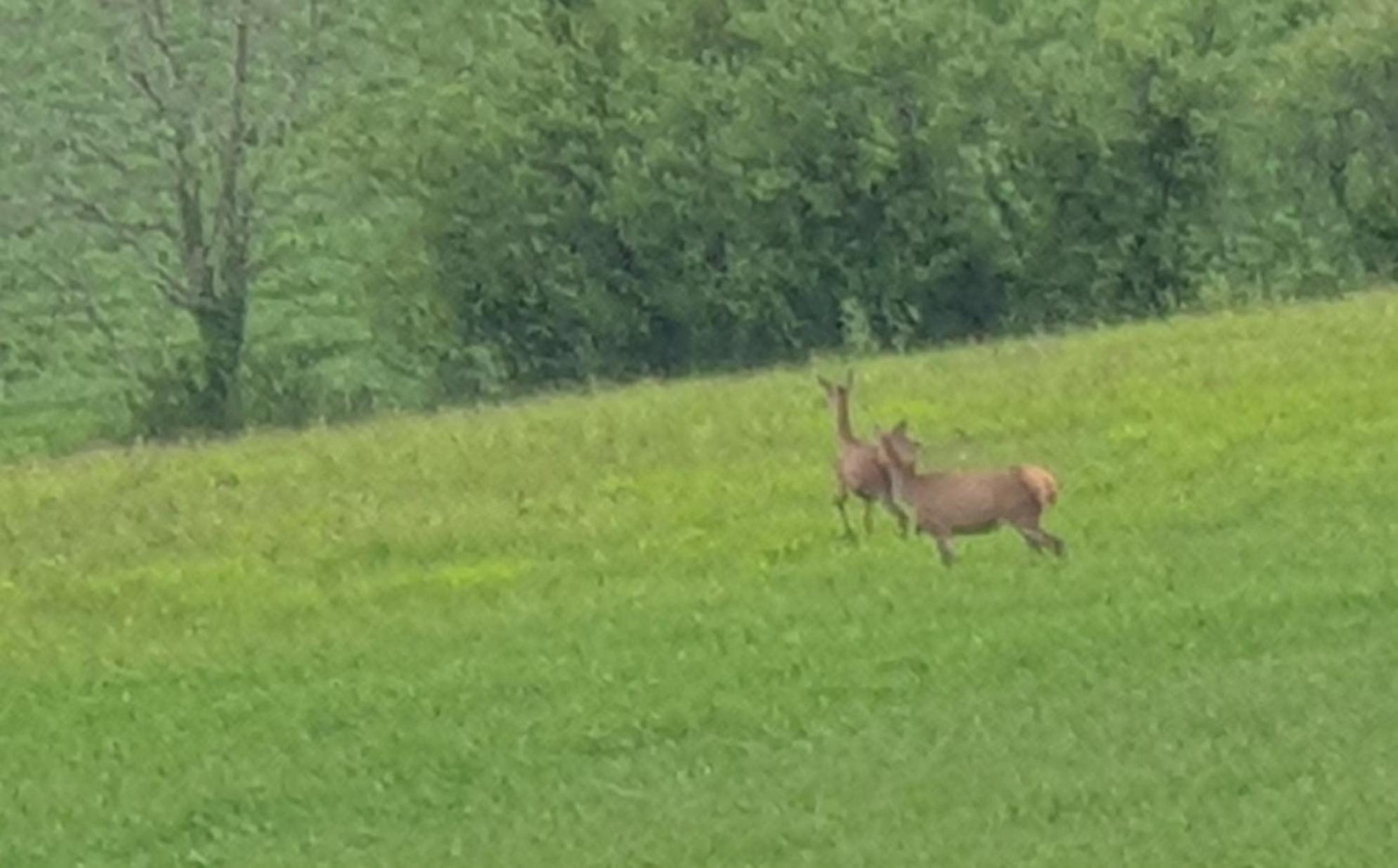 Seuls En Pleine Nature - Gite La Cote Blanche Puygaillard-de-Quercy Zewnętrze zdjęcie
