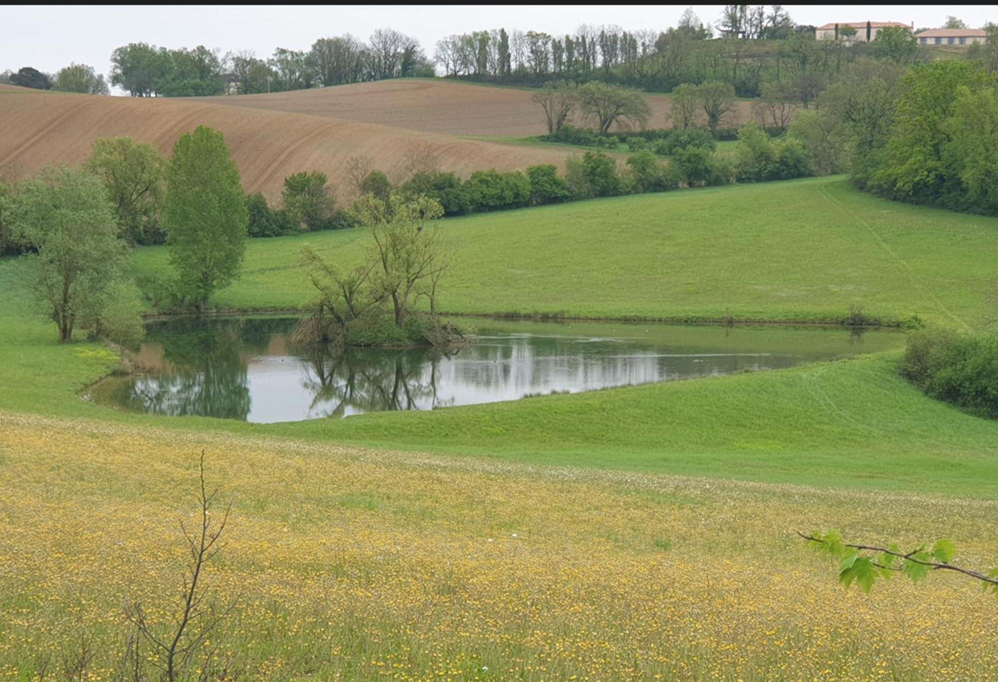 Seuls En Pleine Nature - Gite La Cote Blanche Puygaillard-de-Quercy Zewnętrze zdjęcie