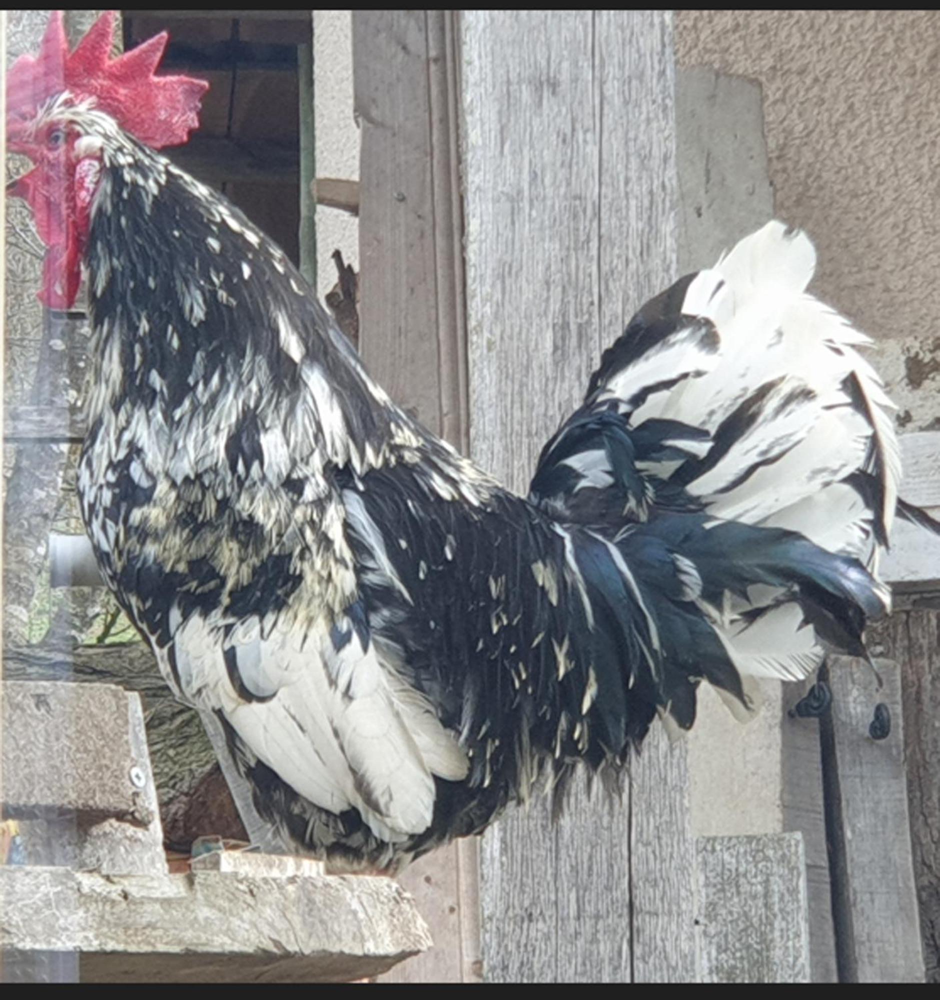 Seuls En Pleine Nature - Gite La Cote Blanche Puygaillard-de-Quercy Zewnętrze zdjęcie